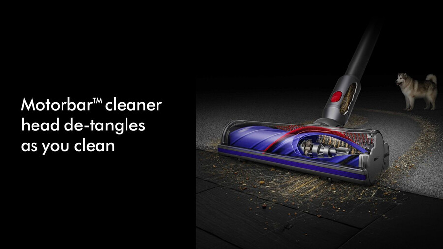 aspirapolvere dyson v11 extra