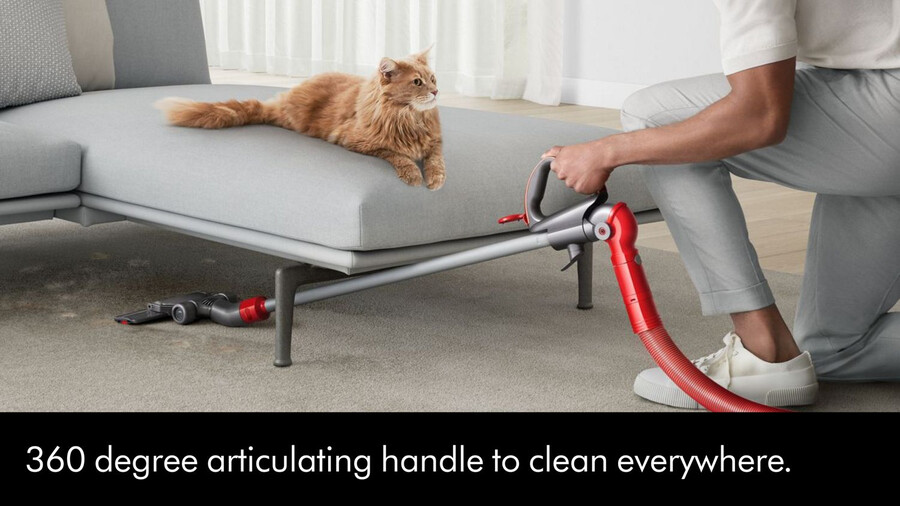 dyson ball animal multi-floor rameargento