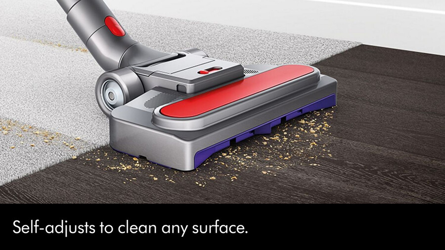 dyson big ball animal 2