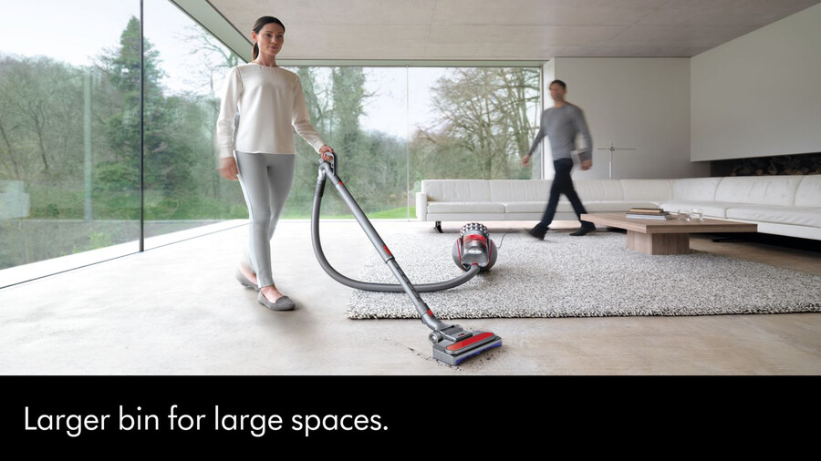 dyson big ball animal 2