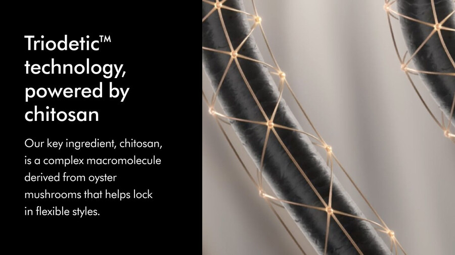 siero post-styling dyson chitosan